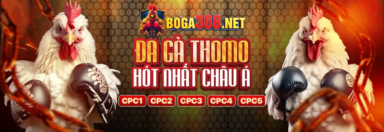 Sân chơi đá gà trực tuyến Sam86 Code