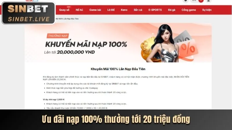 Hoàn trả tiền cược hàng ngày/tuần